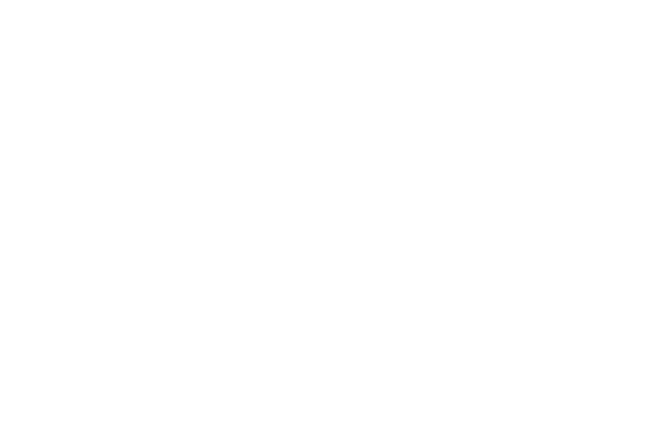 Sub-Zero & Wolf Repair Specialists